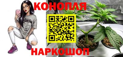 трава Ставрополь
