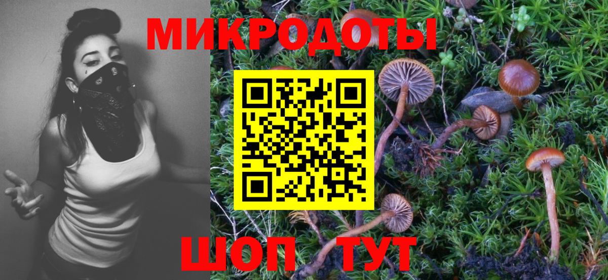 Истра  Галлюциногенные грибы MAGIC MUSHROOMS  Вход с VPN 