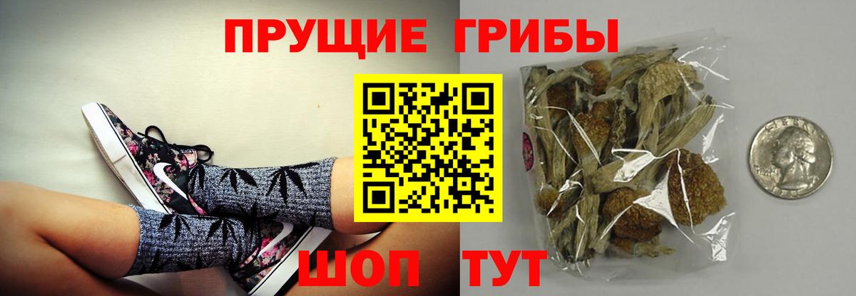 Галлюциногенные грибы ЛСД Истра